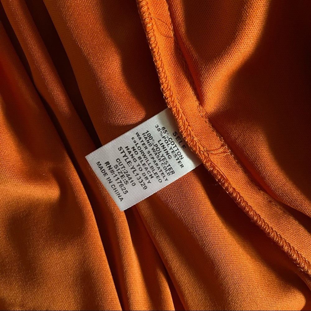 Fall Colours Pleated Dress - Picture 9 of 9